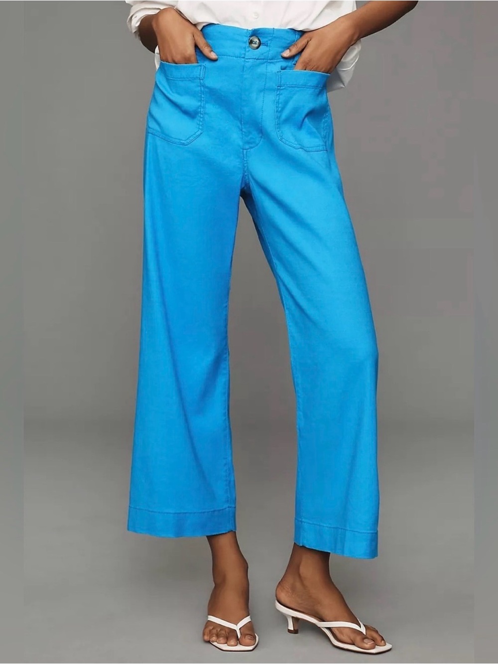 Maeve Colette Linen Blend Crop Pants in Sky - size 29 NWT